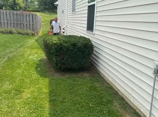 Bush Trimming by Jason Babcock for Matthew S. in Noblesville, IN