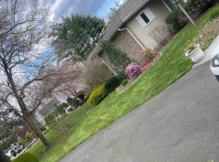 Philip M.'s Lawn Mowing service result
