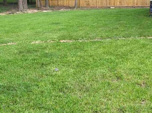 Calvin R.'s Lawn Service service result