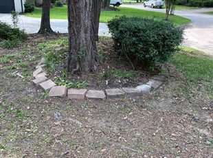 Cleanups by Yadira Ortiz for Steven H. in Spring, TX