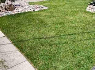 Keisha D.'s Lawn Service service result