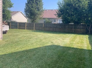 Timica P.'s Lawn Mowing service result