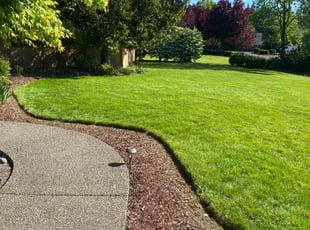 Jamie S.'s Lawn Service service result
