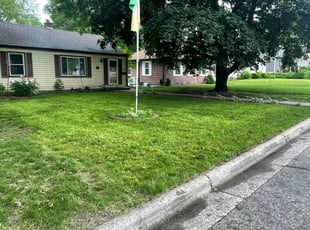 Donna C.'s Lawn Care service result