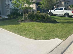 Joe A.'s Yard Cutting service result