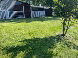 shertisa M.'s Lawn Maintenance service result