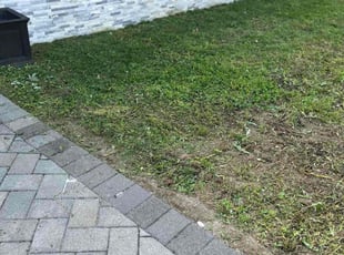 Aeration by James Randolph for Jennifer L. in Freeport, NY