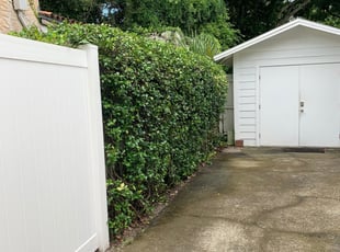 Landscaping by Ramona Lara for Lainey F. in Tampa, FL