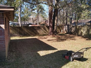Leaf Removal by DERRICK Box for Adrian R. in Spring, TX