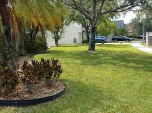 Ben C.'s Lawn Mowing Service service result