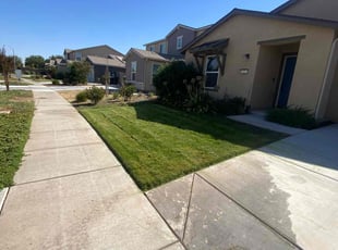 Julio C.'s Lawn Service service result