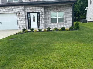 Asonja P.'s Lawn Mowing service result