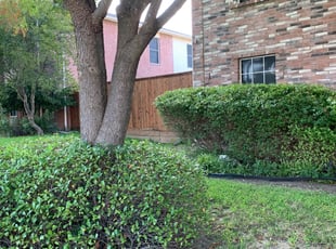 Cleanups by Michael Flores for Scot J. in Richardson, TX