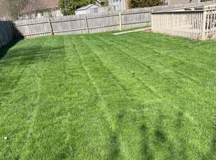 Emily H.'s Lawn Service service result