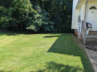 Vishal S.'s Grass Cutting service result