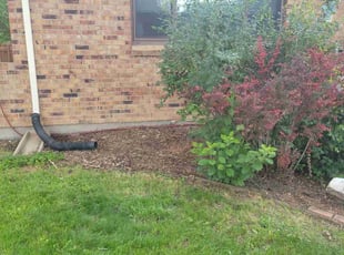 Cleanups by Jason Bickler for Margie S. in Longmont, CO