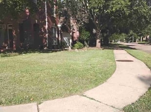 Katie W.'s Lawn Maintenance service result