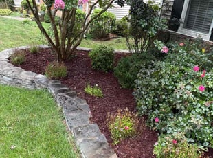 Mulching by Mohammad Haidari for Phil R. in Springfield, VA