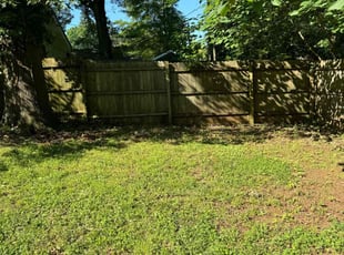 Cleanups by Erica Smedley for Makayla H. in Charlotte, NC