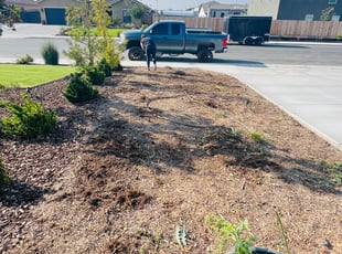 Weeding by Cruz Barraza for Cecily L. in Bakersfield, CA