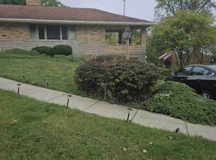 Bush Trimming by Nicholas Weber for Dana G. in Cincinnati, OH