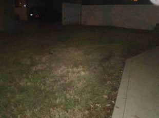 Leaf Removal by Lamont Howard for Jordan M. in Columbus, OH