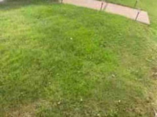 Yan L.'s Lawn Mowing Service service result