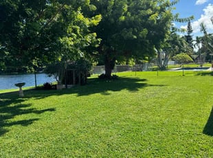 Leigh Anne G.'s Yard Cutting service result