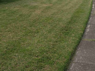 Ashley R.'s Lawn Maintenance service result