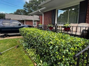 Bush Trimming by Naji Robinson for Frances O. in Greenville, SC