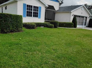 Bush Trimming by Robert Nelams for Paul S. in Leesburg, FL