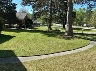 Cortez B.'s Lawn Mowing service result