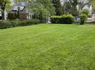 Joyce J.'s Lawn Mowing service result