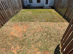 Bush Trimming by Pierce Anfield for Jessica R. in Augusta, GA