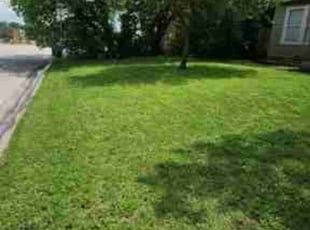Inneke E.'s Lawn Maintenance service result
