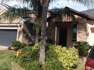 Bush Trimming by Scott Bensing for David M. in New Port Richey, FL