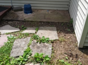 Cleanups by Kevin Gasque for Roshell M. in Hartford, CT