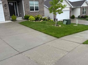 Erica M.'s Lawn Service service result