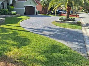 Vivia M.'s Yard Cutting service result