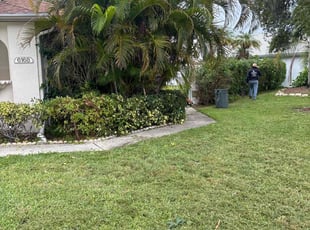 Bush Trimming by Jhon MarroquΓn for Miguel A. in Boynton Beach, FL