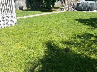 Anthony W H.'s Lawn Maintenance service result