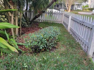 Bush Trimming by Sebastian Damaso for Tierra H. in Lithia, FL