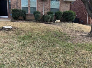 Leaf Removal by Jason Nash for Diana G. in Fort Worth, TX
