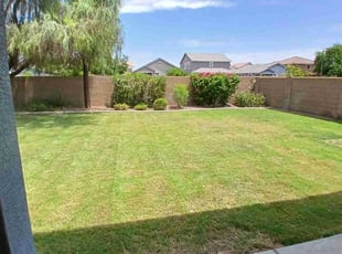 Jessica G.'s Lawn Care service result