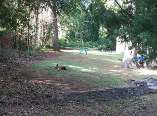 Leaf Removal by Rodney Tucker for Lucas W. in Atlanta, GA