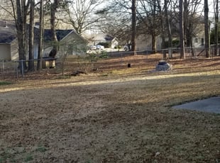 Leaf Removal by Rhett Bradley for Mz. G. in Loganville, GA