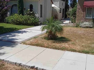 Bush Trimming by Brenden Henderson for Jordan W. in Riverside, CA