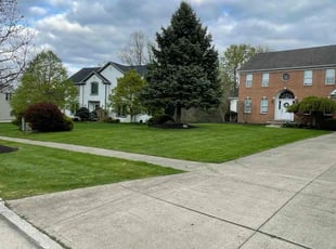 Rebecca W.'s Lawn Mowing Service service result