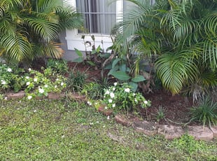 Landscaping by Shaun Gapp for Richard G. in Davenport, FL