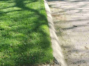 Bill D.'s Lawn Service service result